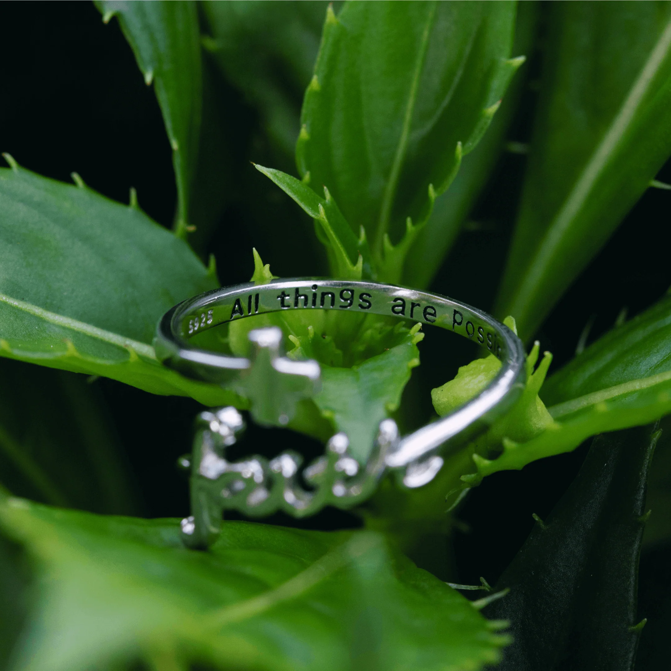 The Faith Ring - Image 4